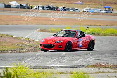media/May-04-2024-Team Topak Racing (Sat) [[1dff1aa745]]/Inter Low 1/Session 2/